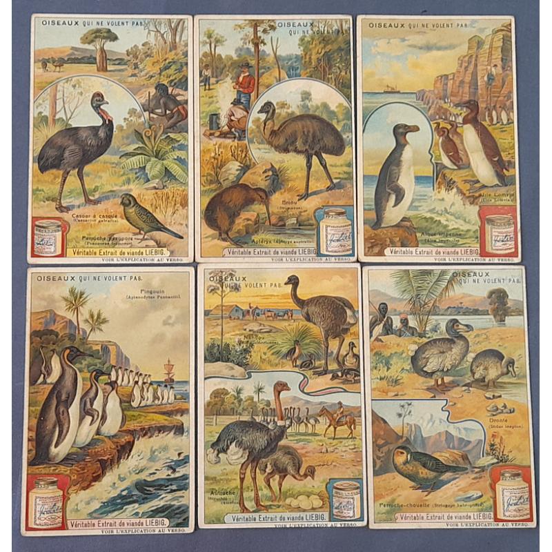 (EE1371) FRANCE · c.1900: set of six Liebig cards featuring colour illustrations of FLIGHTLESS BIRDS all in excellent to fine condition (6)