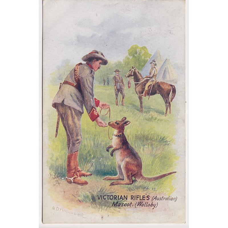 (ME1024) VICTORIA · c.1905: used card from Tuck's "Oilette" REGIMENTAL MASCOTS set with illustration by N. Drummond titled VICTORIAN RIFLE'S MASCOT (WALLABY) · excellent condition