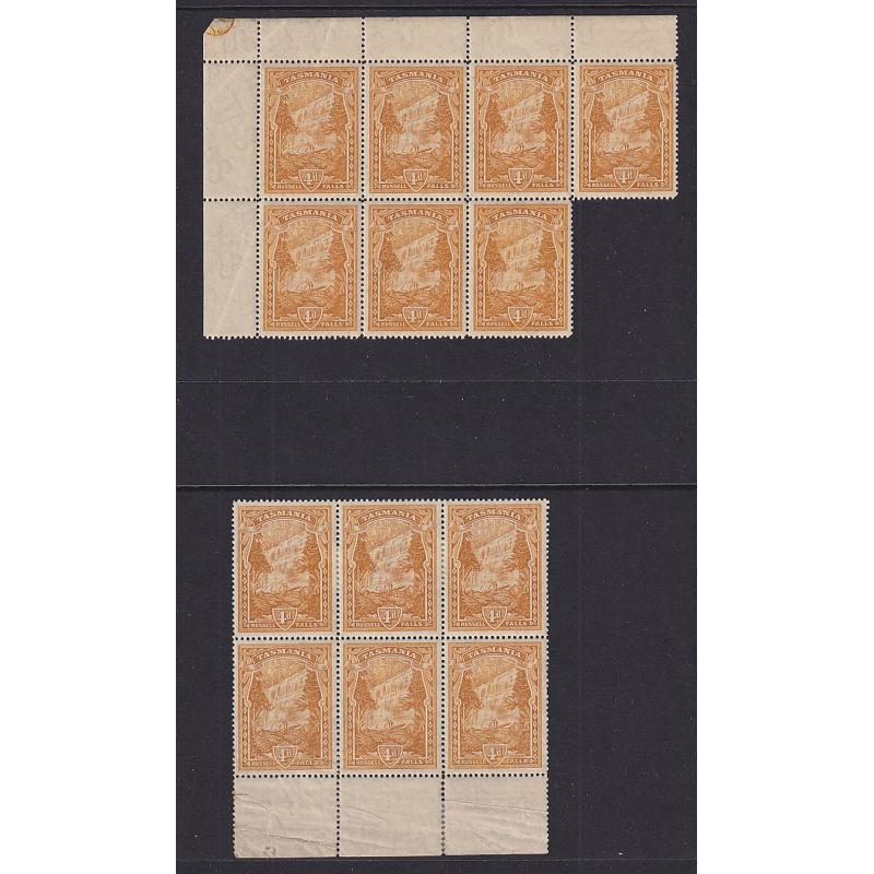 (MM1546) TASMANIA · 1900: MNH/MLH blocks of 6 and 7 of the 4d deep orange-buff Pictorial SG 234 · some imperfections so please view both largest images · total c.v. £350+ (2 images)