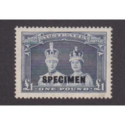 (PR1749) AUSTRALIA · 1938: £1 bluish-slate Coronation Robes optd SPECIMEN SG 178s · some hinge remnants · excellent appearance · c.v. £800 (2 images)