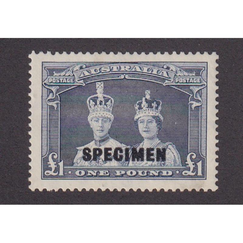 (PR1749) AUSTRALIA · 1938: £1 bluish-slate Coronation Robes optd SPECIMEN SG 178s · some hinge remnants · excellent appearance · c.v. £800 (2 images)