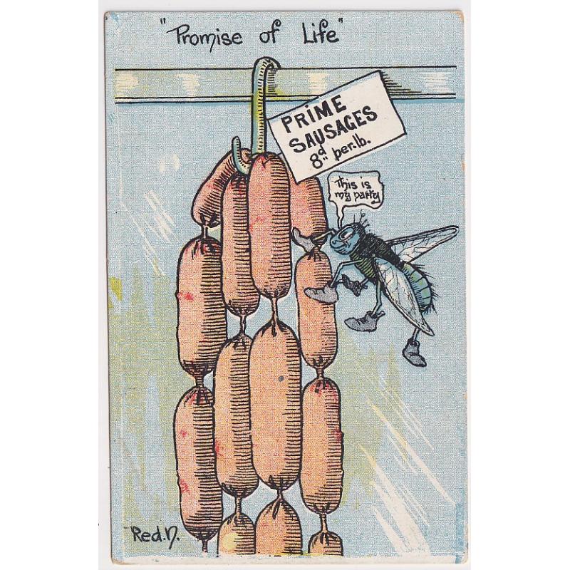 (SS1199) VICTORIA · c.1910: unused humorous card by V.S.M titled PROMISE OF LIFE illustrated by "Red.N." · some light soiling on verso o/wise in excellent condition