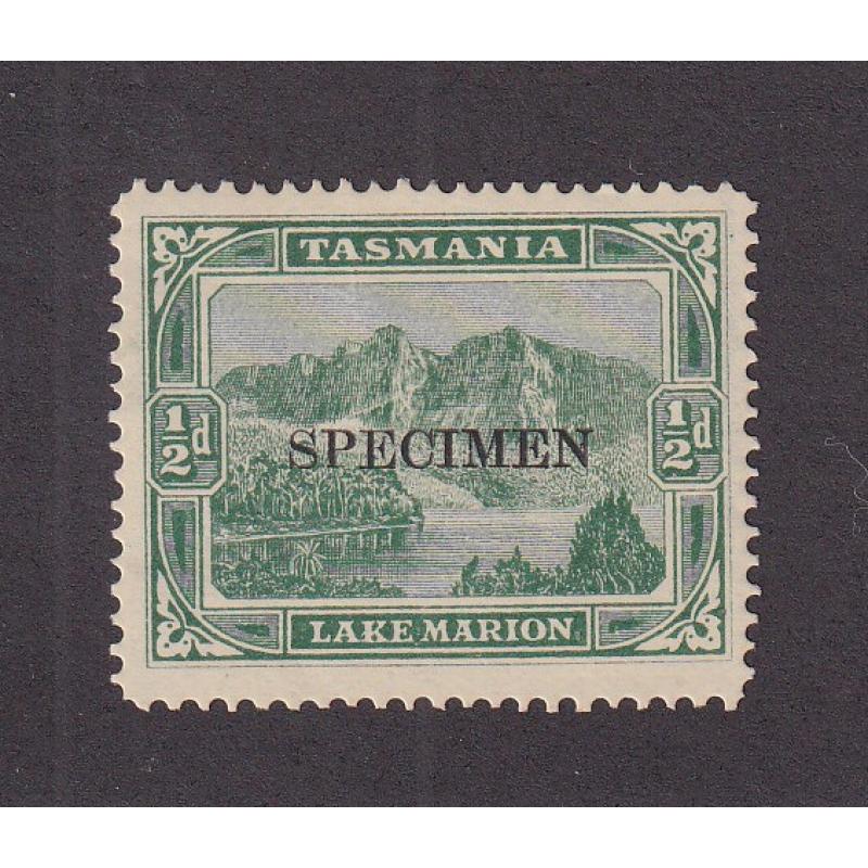 (SZ1535) TASMANIA · 1903: lithographed ½d green Pictorial (V/Crown wmk · perf.12.4) optd SPECIMEN SG 237s · clean hinge remnant · fine condition · c.v. £120 (2 images)