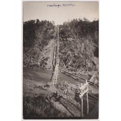 (WS1247) TASMANIA · 1910: real photo card with a view of the WARATAH HAULAGE · postally used from there · interesting message includes "... the Bischoff mine is thinking about closure" · fine condition (2 images)