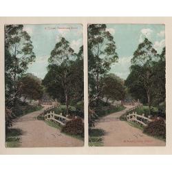 (WW15210) TASMANIA  · 1907/14: 4 colour cards by Valentine's · two cards are duplicated with different titles but the scene is at McROBIE'S GULLY near Hobart · condition is excellent to fine (2 images))