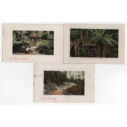 (WW15225) TASMANIA  · c.1910: 7 colour cards by McVilly & Little w/views of various MOUNT WELLINGTON HUTS · 4 cards have been postally used · any imperfections are minor .... see both largest images (7)