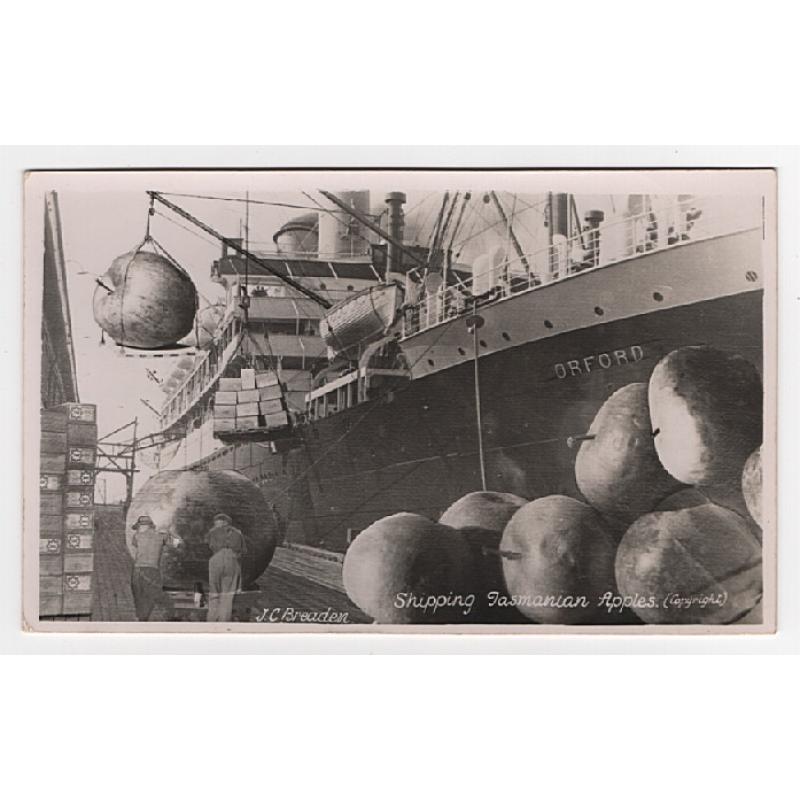 (WW15227) TASMANIA  ·1940s: humorous real photo card by J.C. B readen with Hobart Wharves view captioned SHIPPING TASMANIAN APPLES · message on verso but not postlly used · fine condition