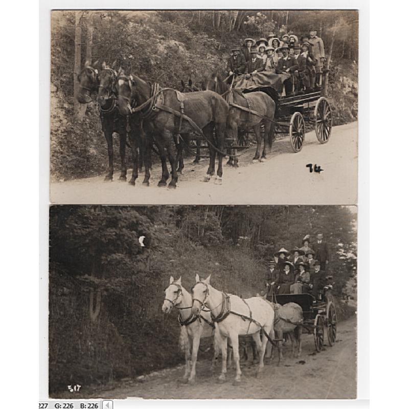 (WW15231) TASMANIA  · 1910/12: real photo cards (one by P.M. Koonan) with portraits of expeditioners ascending (or descending) Mount Wellington · condition as per largest image (2)