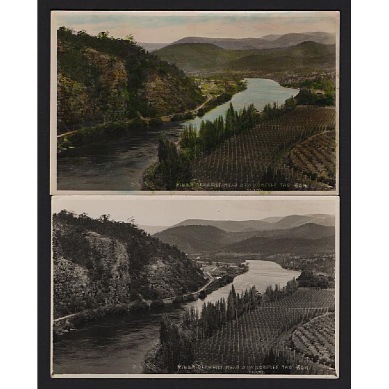 (WW15238) TASMANIA  · 1920s: unused real photo cards by D.I.C using the same view of RIVER DERWENT NEAR NEW NORFOLK one of which has been expertly colour-tinted · both items are in fine condition (2)