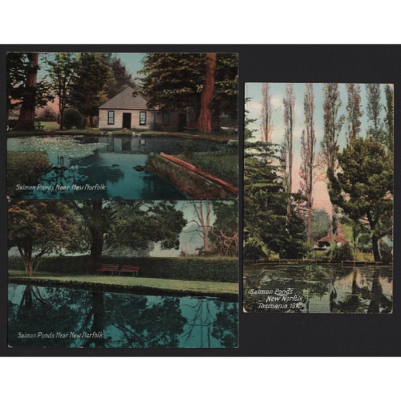 (WW15243) TASMANIA  · 1910: three unused colour cards by McVilly & Little with views on the SALMON PONDS near New Norfolk · excellent to fine condition throughout (3)