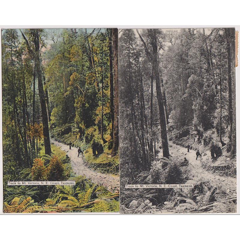 (WW1613) TASMANIA · 1909: 2 card by Spurling & Son w/views in b&w and colour of the TRACK TO MT VICTORIA, N.E. COAST using the same negative · see full description for card numbers · both items in nice condition (2)